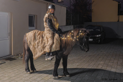 Laternenumzug-2511076-Foto-Werner-Johann-6-von-19