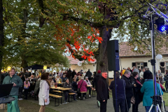 2-Musik-Wein-I-OVB
