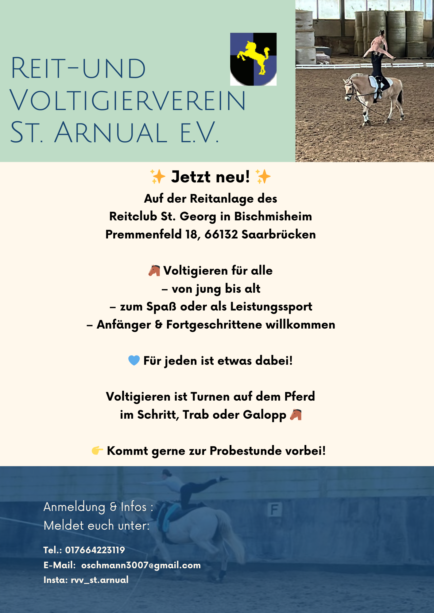 Wir sind der Reit- und Voltigierverein St.Arnual e.V