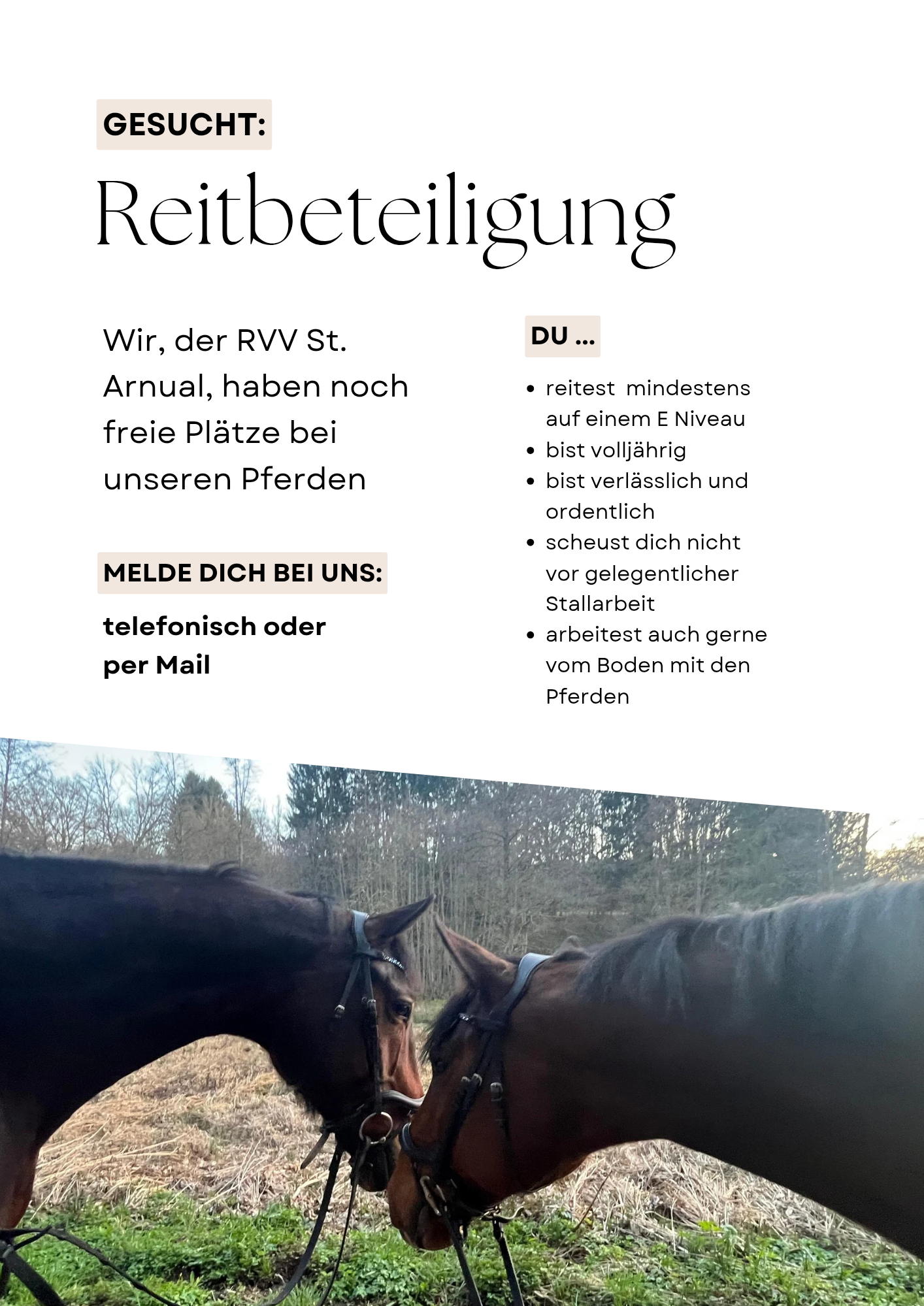 Plätze für Reitbeteiligungen zu vergeben!
